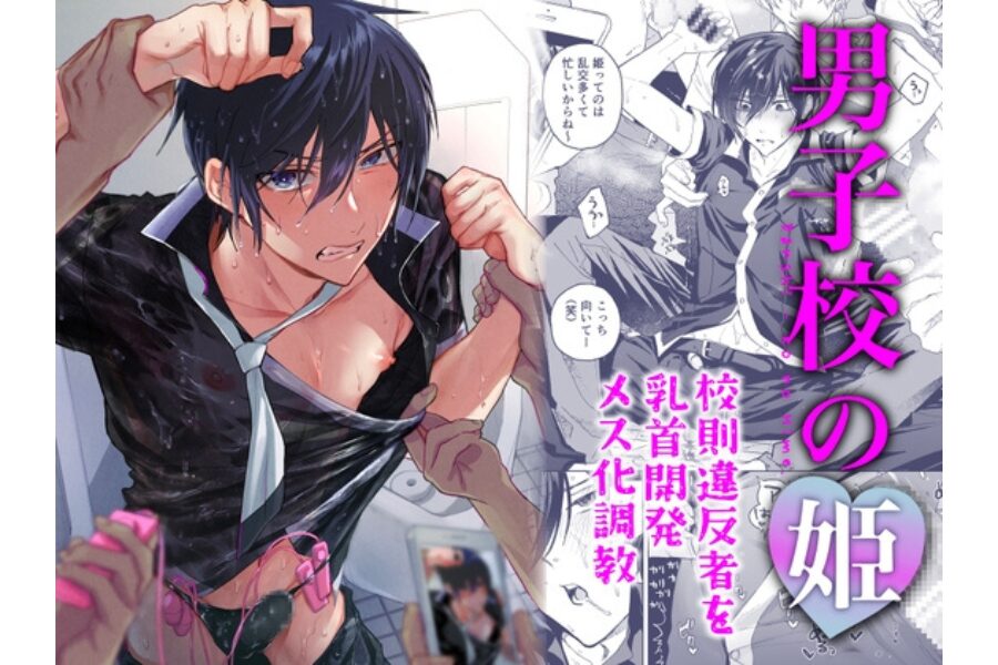 男子校の姫 校則違反者を乳首開発メス化調教 BLレビュー 乳首責め モブ姦 尊厳崩壊 同人BL